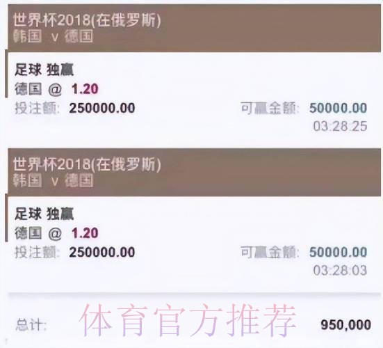 揭秘世界杯买球平台：安全与合法指南